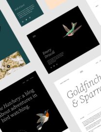 Featured-Image-1536×960