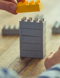 WP-Owls-article-cover (2)