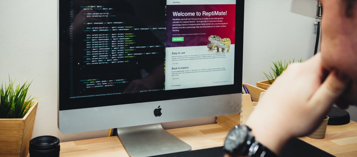 andy-holmes-webyw4NsFPg-unsplash