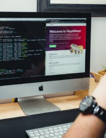 andy-holmes-webyw4NsFPg-unsplash