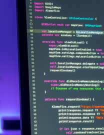 WP Owls article cover (16)